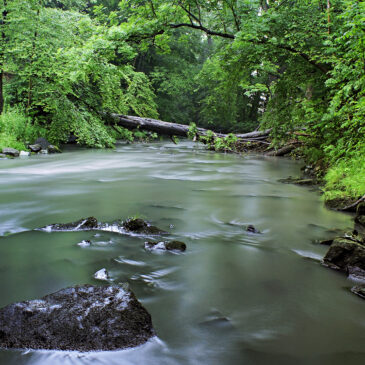 Gemeinsame Gewässererkundung am 4. Mai