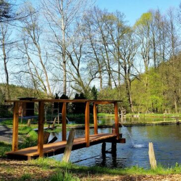 Teichangeln am 19.11 an Holly’s Ranch – Nur für Mitglieder