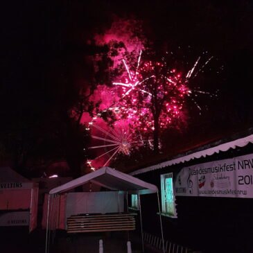 Aal Angeln 2019